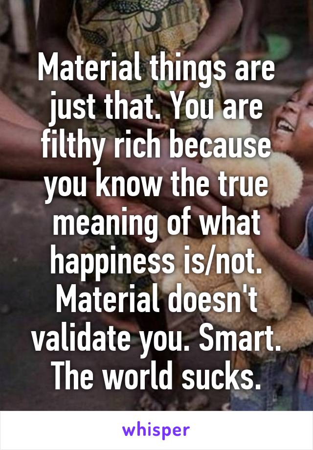 Material things are just that. You are filthy rich because you know the true meaning of what happiness is/not. Material doesn't validate you. Smart. The world sucks.