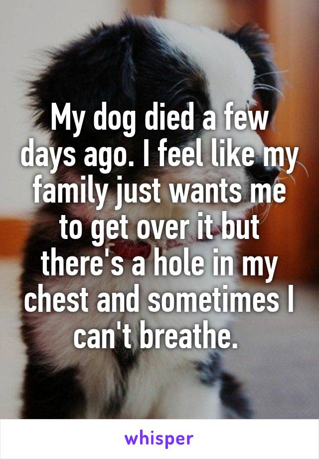 My dog died a few days ago. I feel like my family just wants me to get over it but there's a hole in my chest and sometimes I can't breathe. 