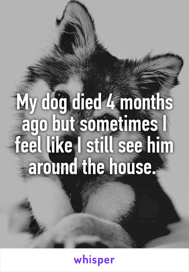 Heartbreaking Confessions About Dealing With The Death Of A Pet