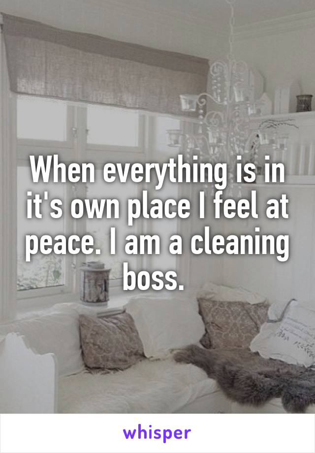 When everything is in it's own place I feel at peace. I am a cleaning boss. 