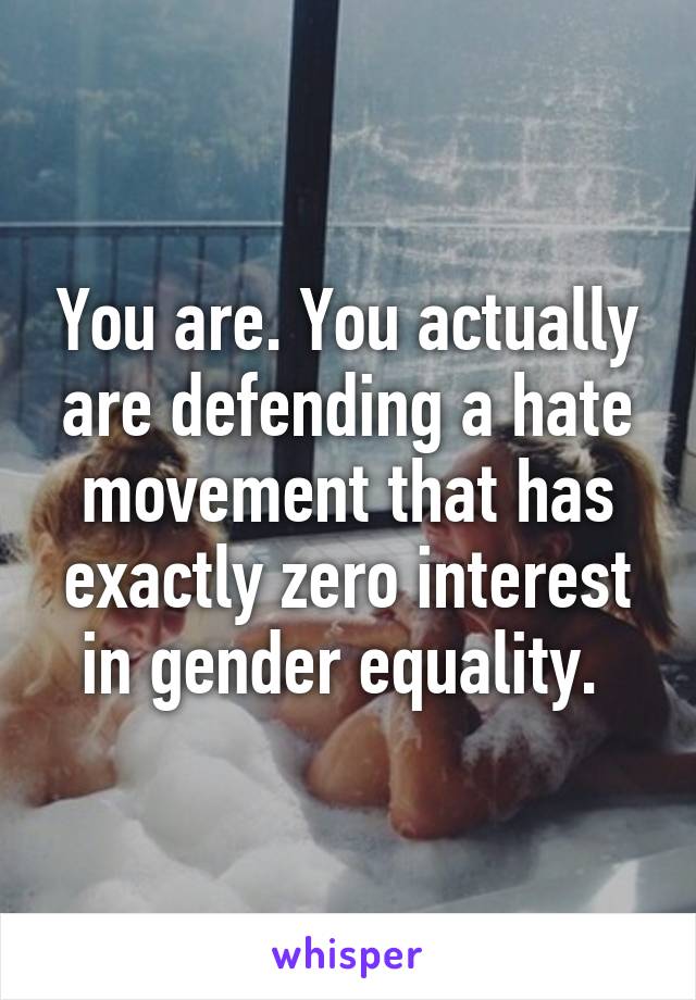 You are. You actually are defending a hate movement that has exactly zero interest in gender equality. 