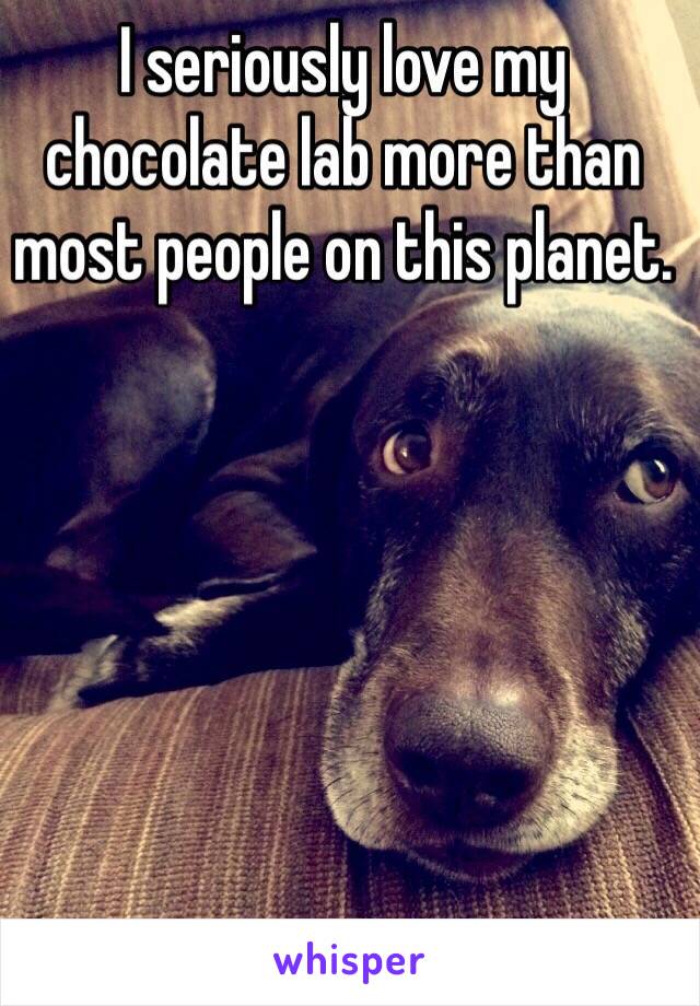 I seriously love my chocolate lab more than most people on this planet. 
