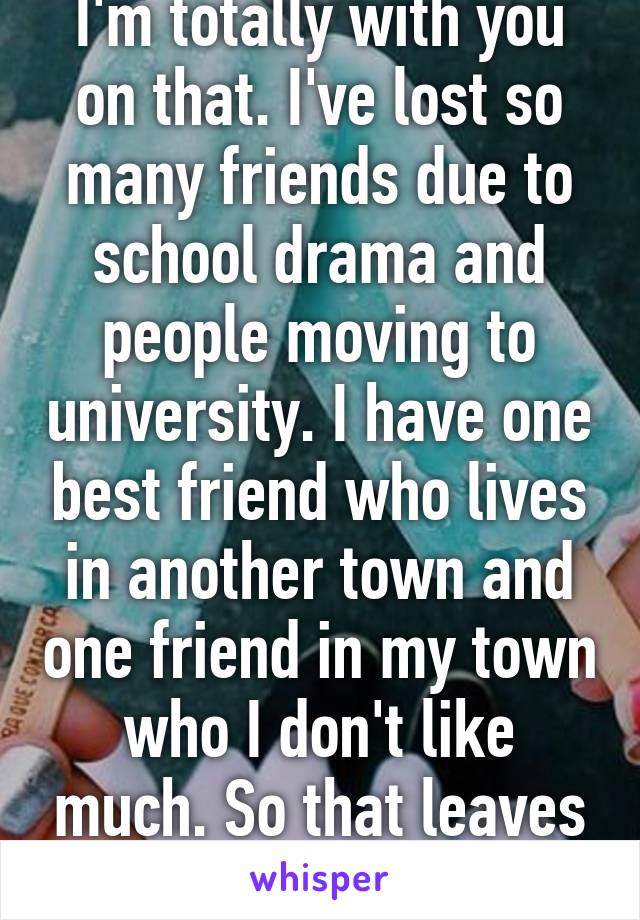 I'm totally with you on that. I've lost so many friends due to school drama and people moving to university. I have one best friend who lives in another town and one friend in my town who I don't like much. So that leaves me with nobody... 