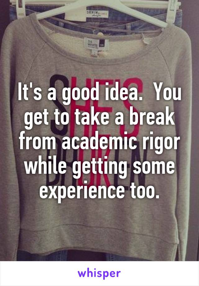 It's a good idea.  You get to take a break from academic rigor while getting some experience too.