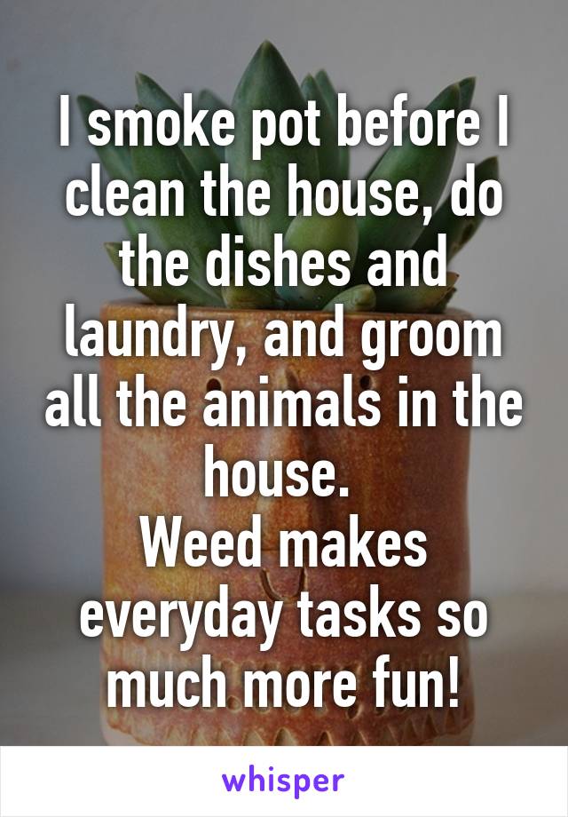 I smoke pot before I clean the house, do the dishes and laundry, and groom all the animals in the house. 
Weed makes everyday tasks so much more fun!