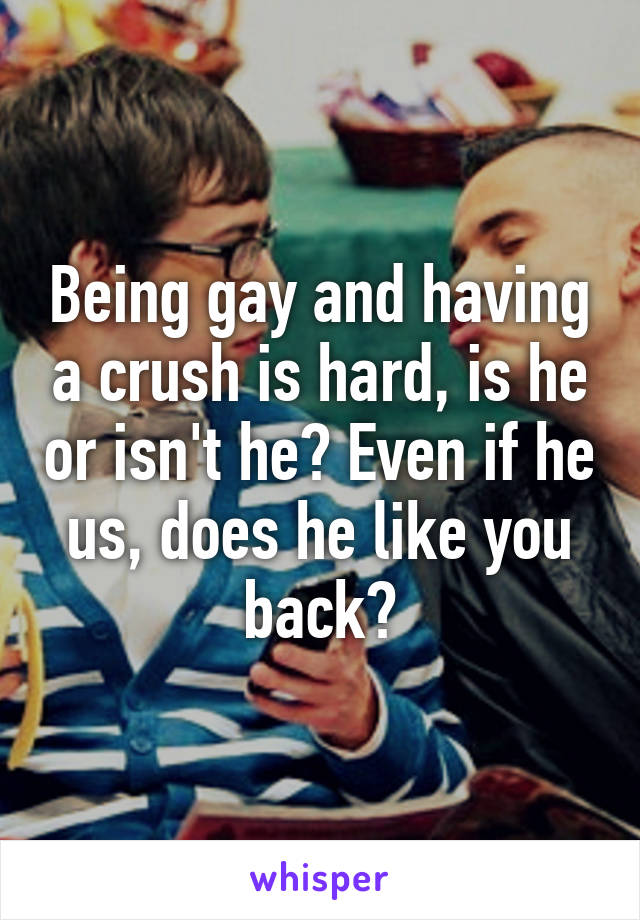 Being gay and having a crush is hard, is he or isn't he? Even if he us, does he like you back?