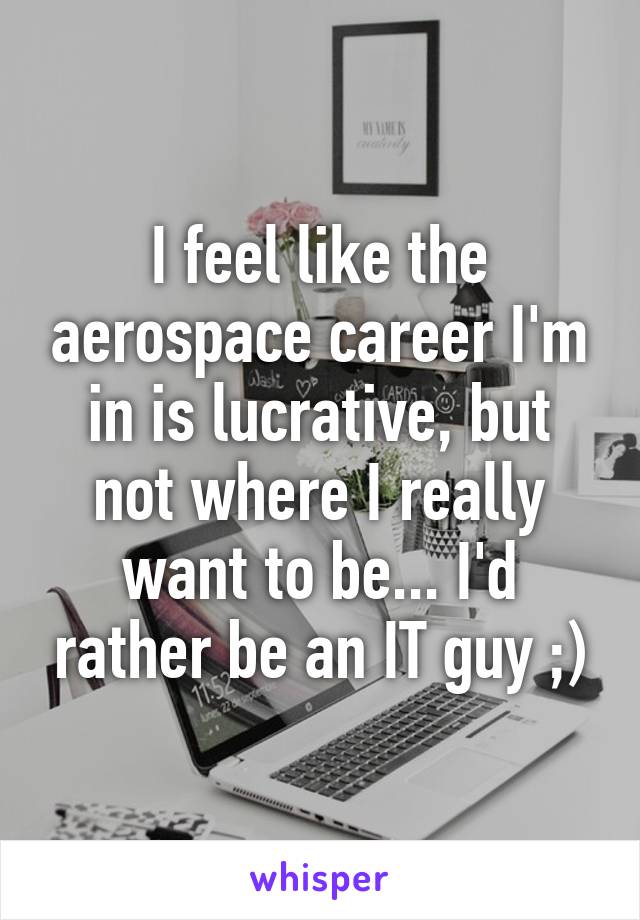 I feel like the aerospace career I'm in is lucrative, but not where I really want to be... I'd rather be an IT guy ;)