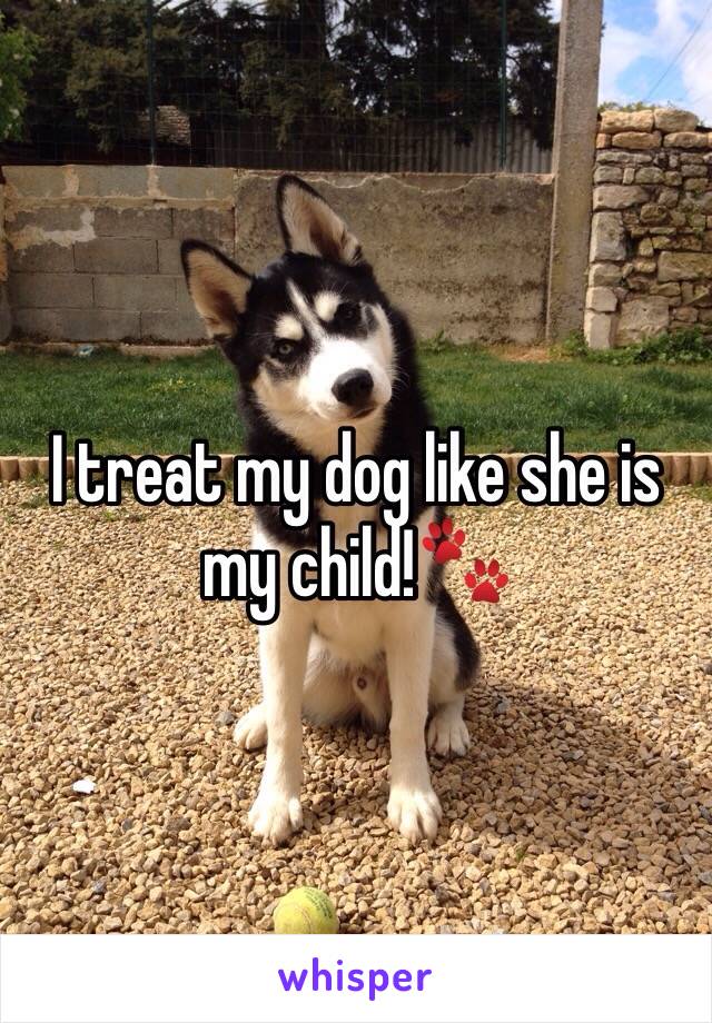 I treat my dog like she is my child!🐾