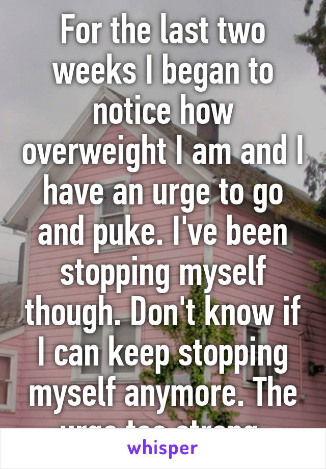 For the last two weeks I began to notice how overweight I am and I have an urge to go and puke. I've been stopping myself though. Don't know if I can keep stopping myself anymore. The urge too strong.