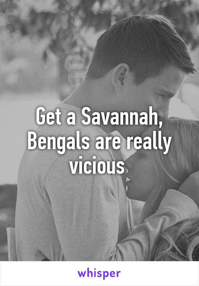 Get a Savannah, Bengals are really vicious 