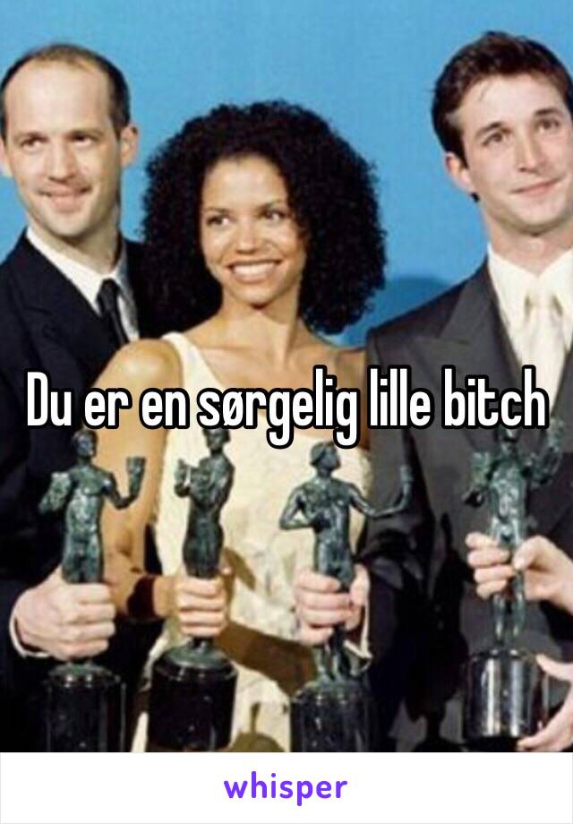 Du er en sørgelig lille bitch