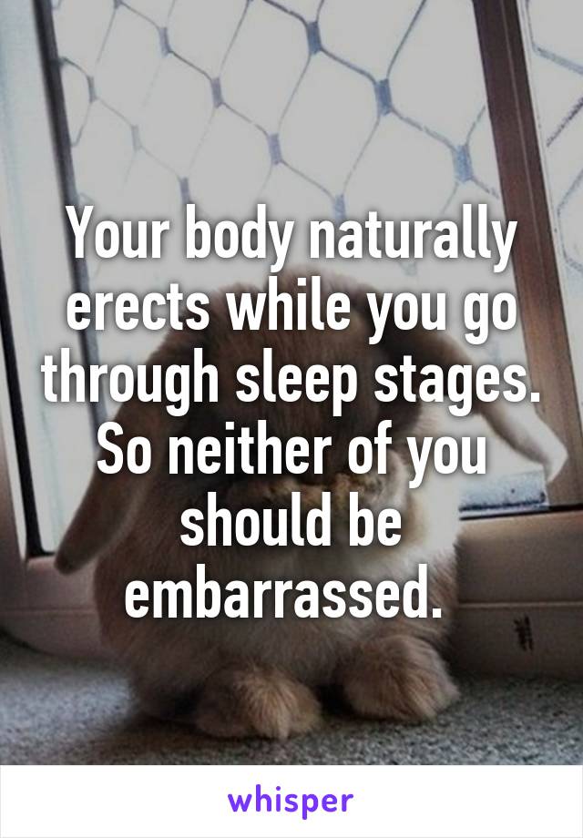 Your body naturally erects while you go through sleep stages. So neither of you should be embarrassed. 