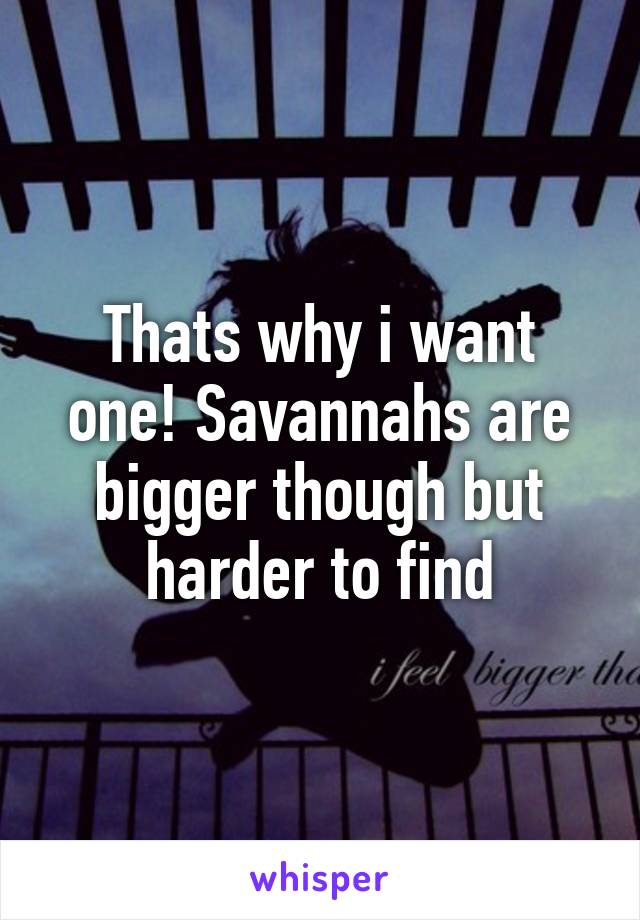 Thats why i want one! Savannahs are bigger though but harder to find