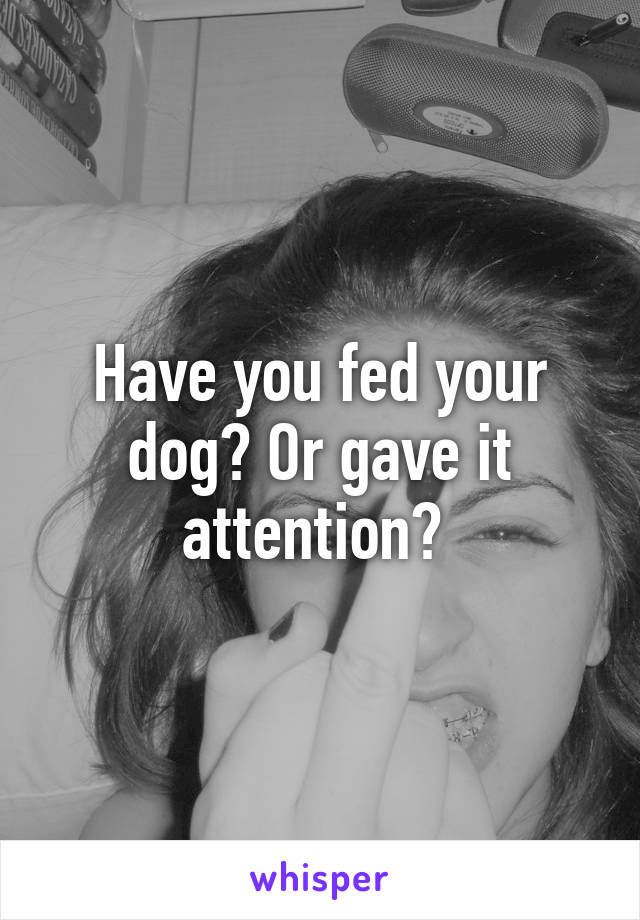 Have you fed your dog? Or gave it attention? 