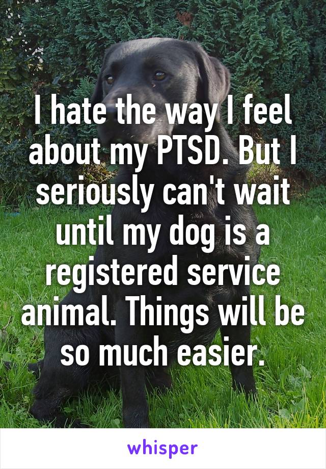 I hate the way I feel about my PTSD. But I seriously can't wait until my dog is a registered service animal. Things will be so much easier.