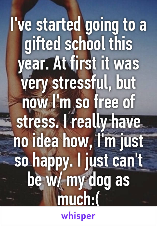 I've started going to a gifted school this year. At first it was very stressful, but now I'm so free of stress. I really have no idea how, I'm just so happy. I just can't be w/ my dog as much:(