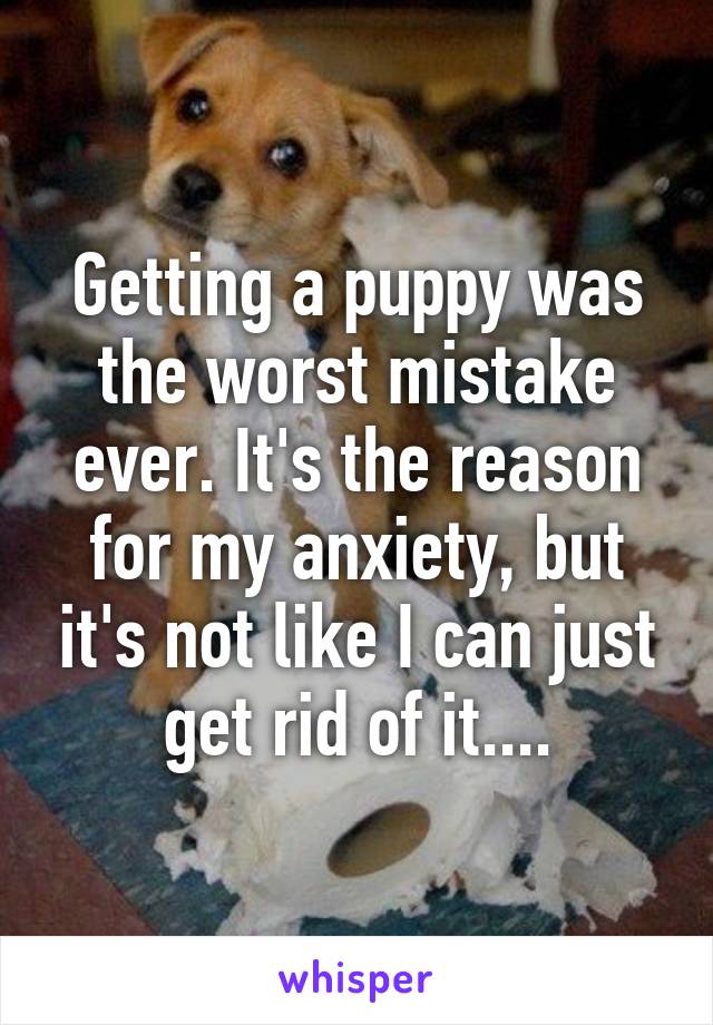 Getting a puppy was the worst mistake ever. It's the reason for my anxiety, but it's not like I can just get rid of it....