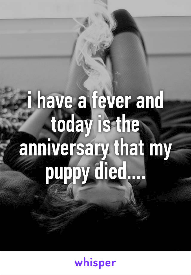 i have a fever and today is the anniversary that my puppy died....