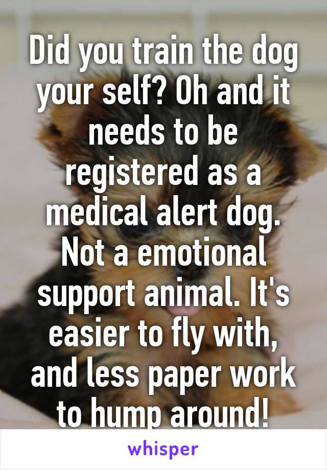 Did you train the dog your self? Oh and it needs to be registered as a medical alert dog. Not a emotional support animal. It's easier to fly with, and less paper work to hump around!