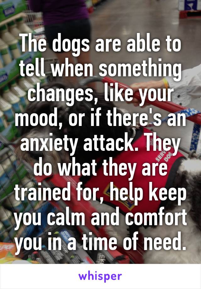 The dogs are able to tell when something changes, like your mood, or if there's an anxiety attack. They do what they are trained for, help keep you calm and comfort you in a time of need.