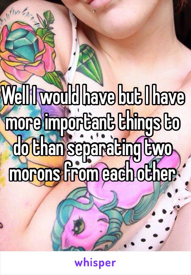 Well I would have but I have more important things to do than separating two morons from each other