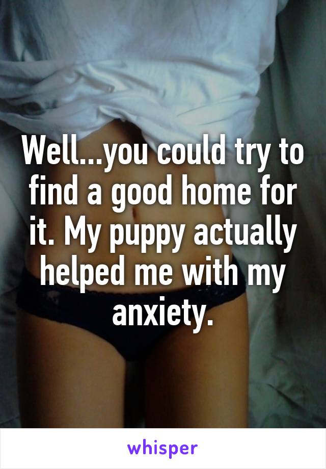 Well...you could try to find a good home for it. My puppy actually helped me with my anxiety.