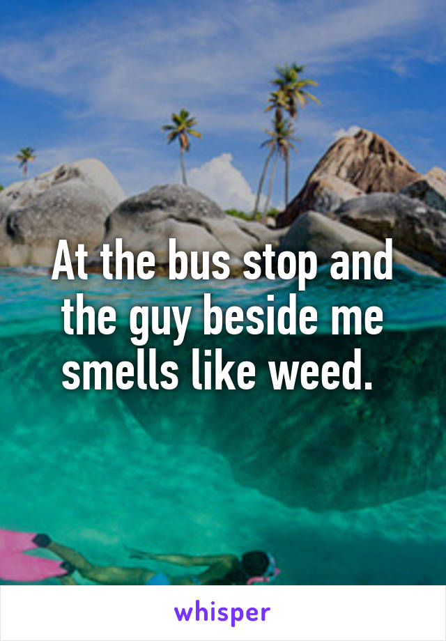 At the bus stop and the guy beside me smells like weed. 