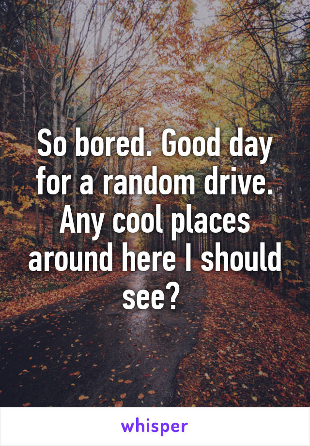 So bored. Good day for a random drive. Any cool places around here I should see? 