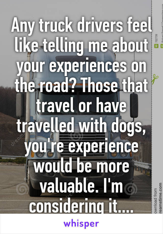 Any truck drivers feel like telling me about your experiences on the road? Those that travel or have travelled with dogs, you're experience would be more valuable. I'm considering it....