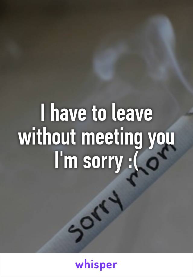 I have to leave without meeting you I'm sorry :(