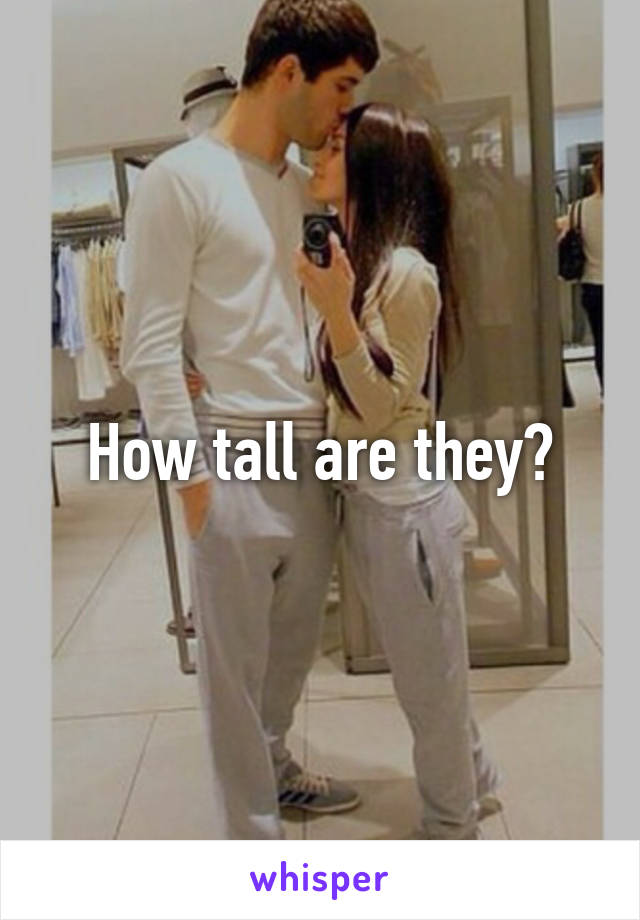 How tall are they?