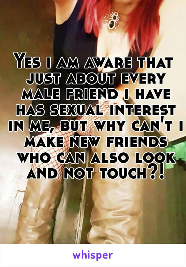 Yes i am aware that just about every male friend i have has sexual interest in me, but why can't i make new friends who can also look and not touch?!