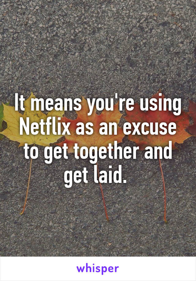 It means you're using Netflix as an excuse to get together and get laid. 