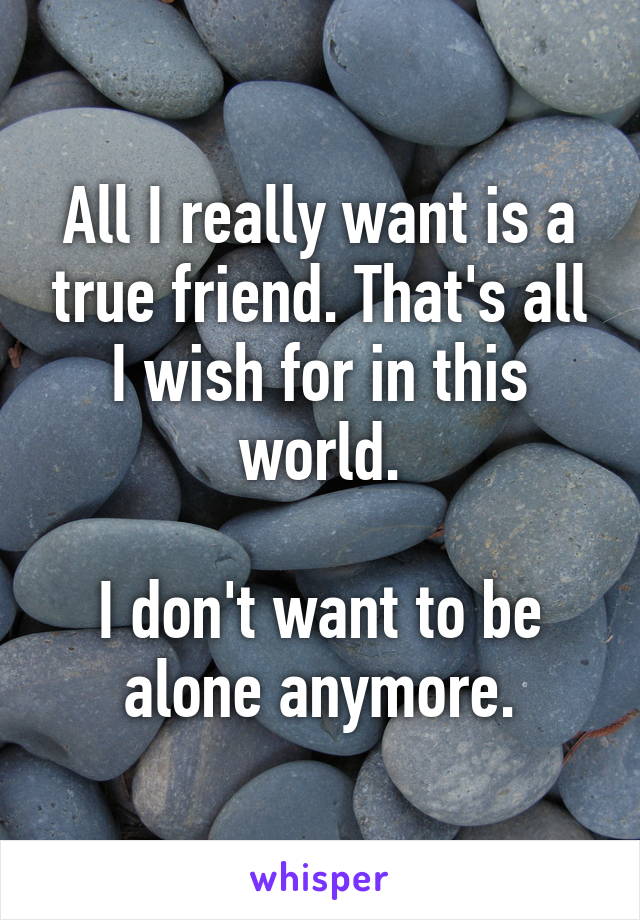 All I really want is a true friend. That's all I wish for in this world.

I don't want to be alone anymore.