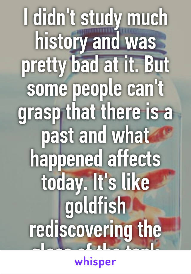 I didn't study much history and was pretty bad at it. But some people can't grasp that there is a past and what happened affects today. It's like goldfish rediscovering the glass of the tank