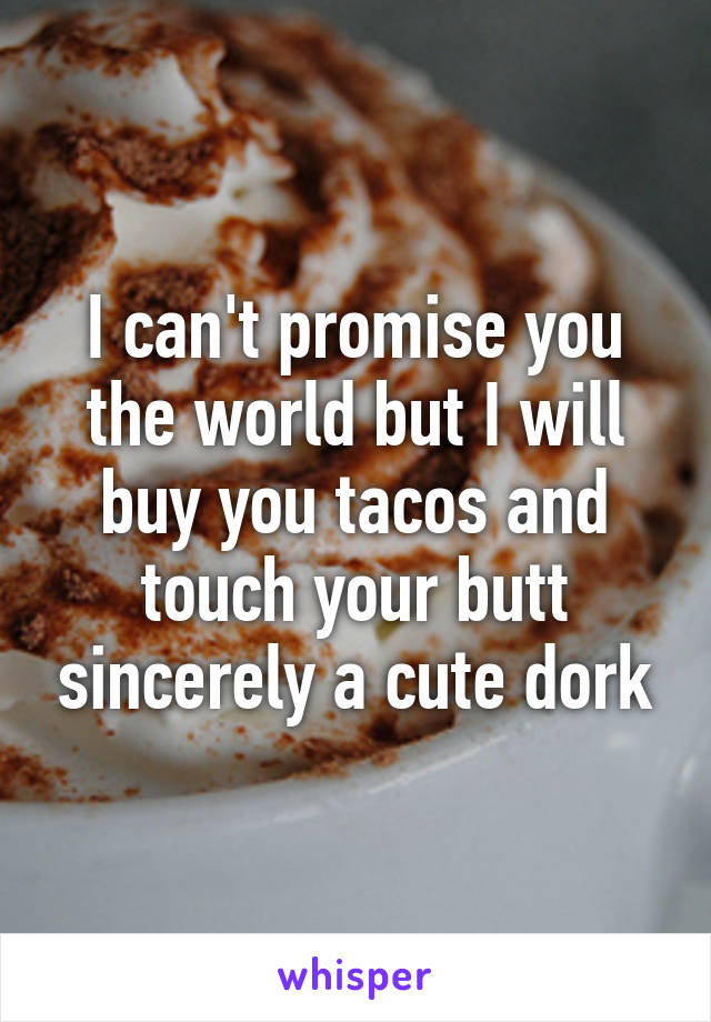 I can't promise you the world but I will buy you tacos and touch your butt sincerely a cute dork