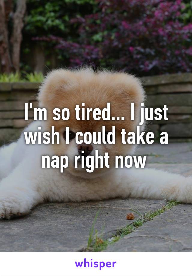 I'm so tired... I just wish I could take a nap right now 