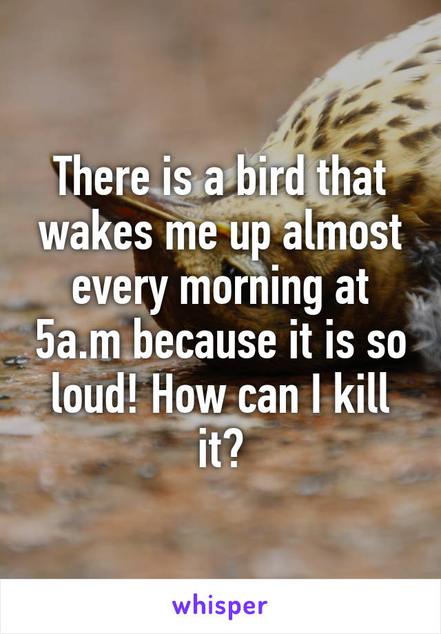 There is a bird that wakes me up almost every morning at 5a.m because it is so loud! How can I kill it?