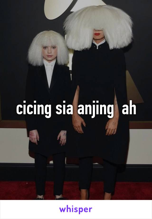 cicing sia anjing  ah