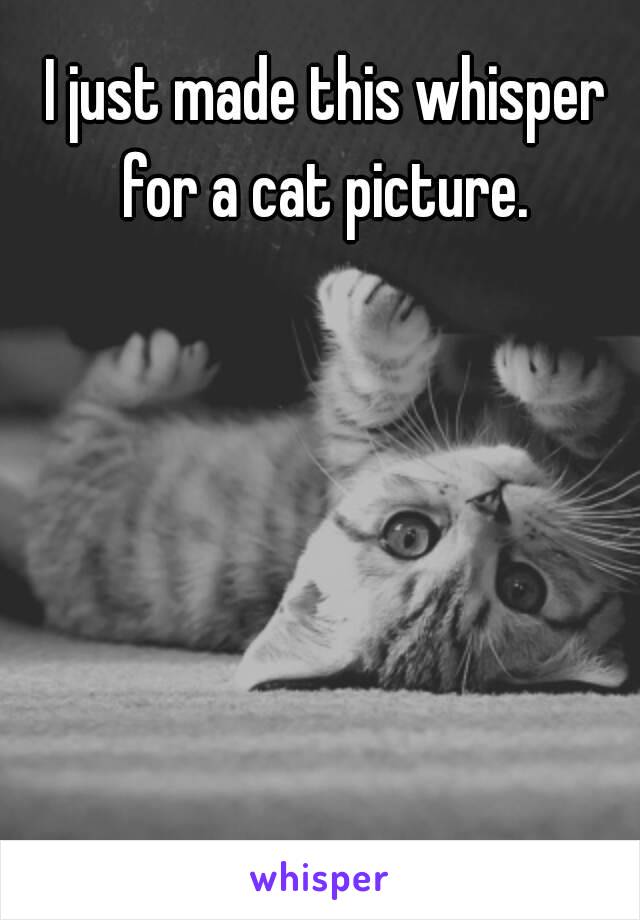 I just made this whisper for a cat picture. 

