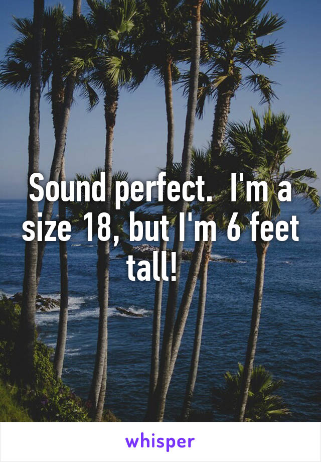 Sound perfect.  I'm a size 18, but I'm 6 feet tall!  