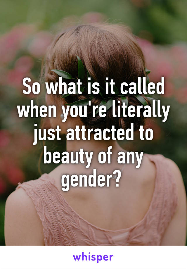 So what is it called when you're literally just attracted to beauty of any gender? 