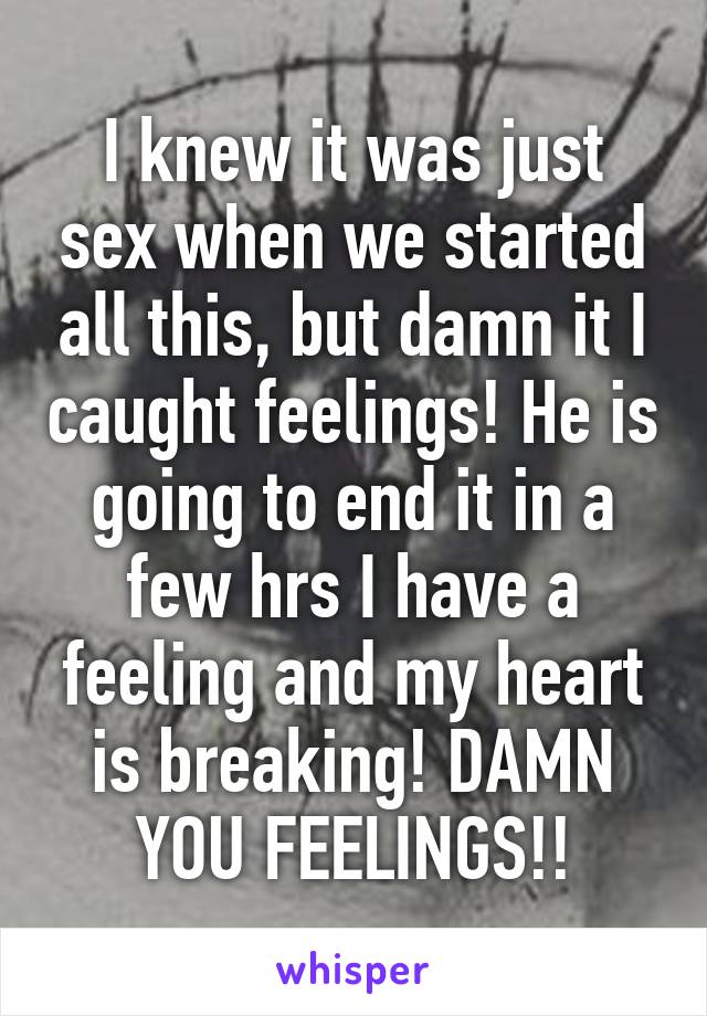 I knew it was just sex when we started all this, but damn it I caught feelings! He is going to end it in a few hrs I have a feeling and my heart is breaking! DAMN YOU FEELINGS!!