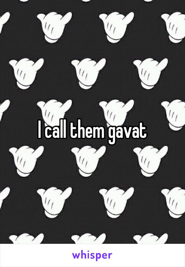 I call them gavat 