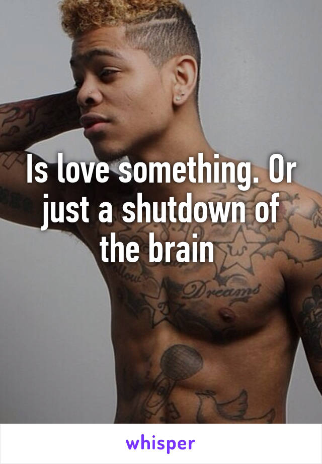 Is love something. Or just a shutdown of the brain 
