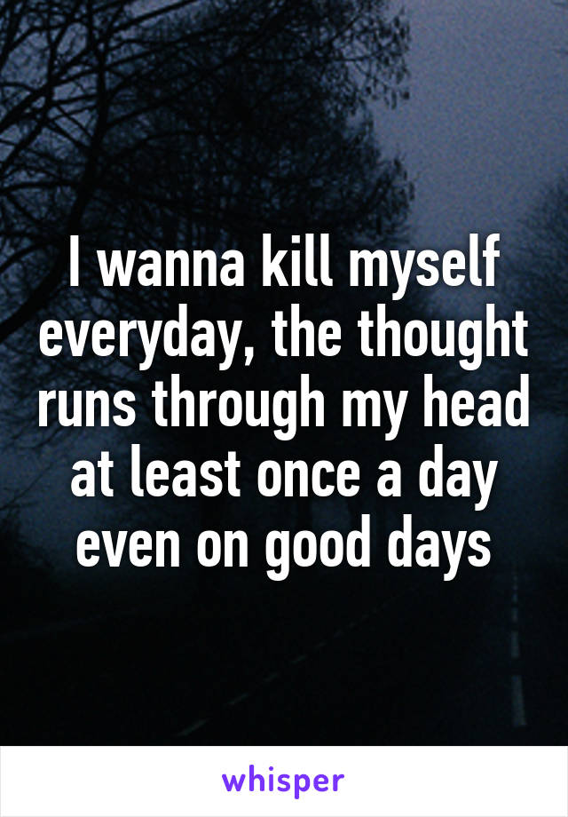 I wanna kill myself everyday, the thought runs through my head at least once a day even on good days