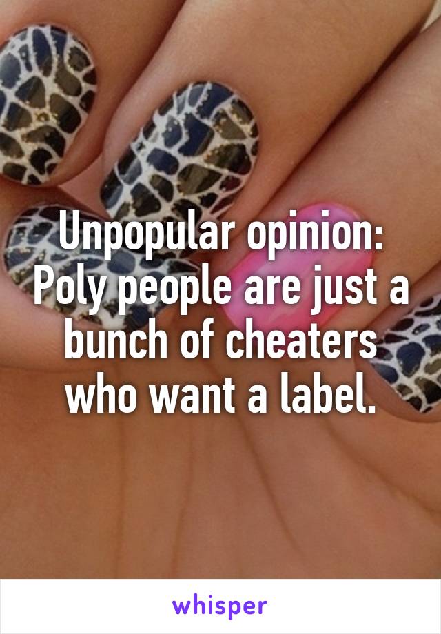 Unpopular opinion: Poly people are just a bunch of cheaters who want a label.