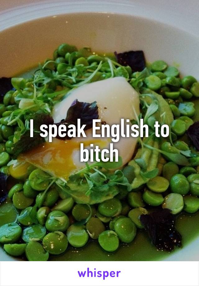 I speak English to bitch