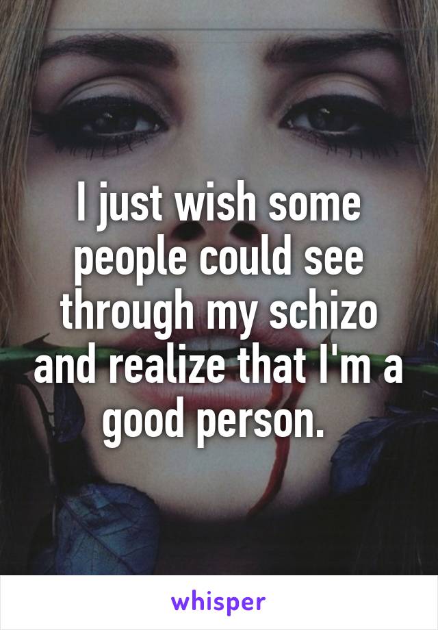 I just wish some people could see through my schizo and realize that I'm a good person. 