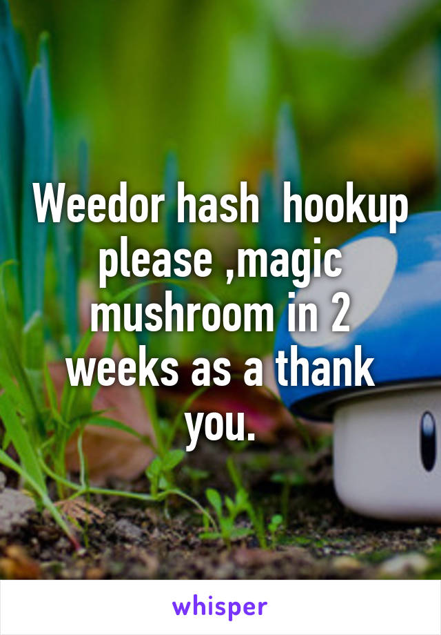 Weedor hash  hookup please ,magic mushroom in 2 weeks as a thank you.